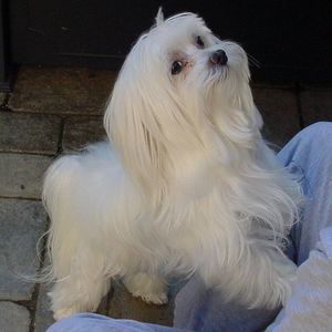 Meet your Posher, Eileen